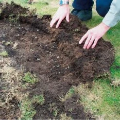 DCM Heteri-Guard - Aaltjes Tegen Engerlingen In Gazon - Voor 500 M² -Buitentuinverzorgings Winkel aaltjes tegen engerlingen 500 m 1664370749 2 600