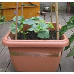 Anti-slakken Kopertape 4 M -Buitentuinverzorgings Winkel antislakken kopertape 1484052941 3 600