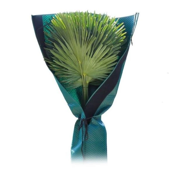 Beschermhoes Palmboom - Groen - 150 Cm 1 Beschermhoes Palmboom - Groen - 150 Cm