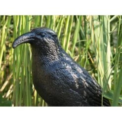 Duivenverjager Kraai -Buitentuinverzorgings Winkel duivenverjager kraai 1484053985 3 600