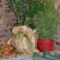 Jutezak - Naturel - 60 × 80 Cm 7 Jutezak - Naturel - 60 × 80 Cm -Buitentuinverzorgings Winkel jutezak 60 x 80 naturel 1486635322 0 600