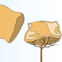 Buitentuinverzorgings Winkel -Buitentuinverzorgings Winkel jutezak grijs 60 x 80 cm 1578492046 2 600