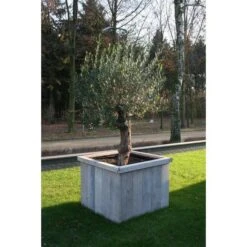 Thermobeschermhoes Jumbo Voor Planten - 240 × 200 Cm -Buitentuinverzorgings Winkel thermovorsthoes 240 x 200cm 1484053216 3 600