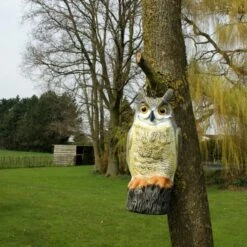 Uil Front - Vogelverschrikker -Buitentuinverzorgings Winkel uil front vogelverschrikker 1523282297 1 600