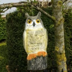 Uil Front - Vogelverschrikker -Buitentuinverzorgings Winkel uil front vogelverschrikker 1523282297 2 600