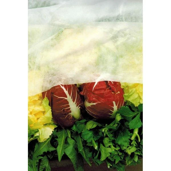 Vliesdoek - 10 × 2,4 M - 17 G/m² 1 Vliesdoek - 10 × 2,4 M - 17 G/m²