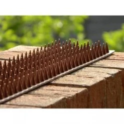 Afweerpinnen Strip Vogels, Katten,... - Bruin -Buitentuinverzorgings Winkel vogelwering met afweerpinnen 50 cm 1484056943 3 600